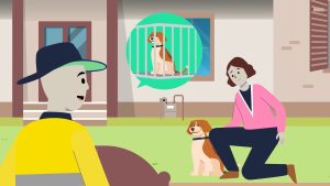 DOGSAFE Meter Reading Service Stream Punchy Digital Media 5 53 screenshot